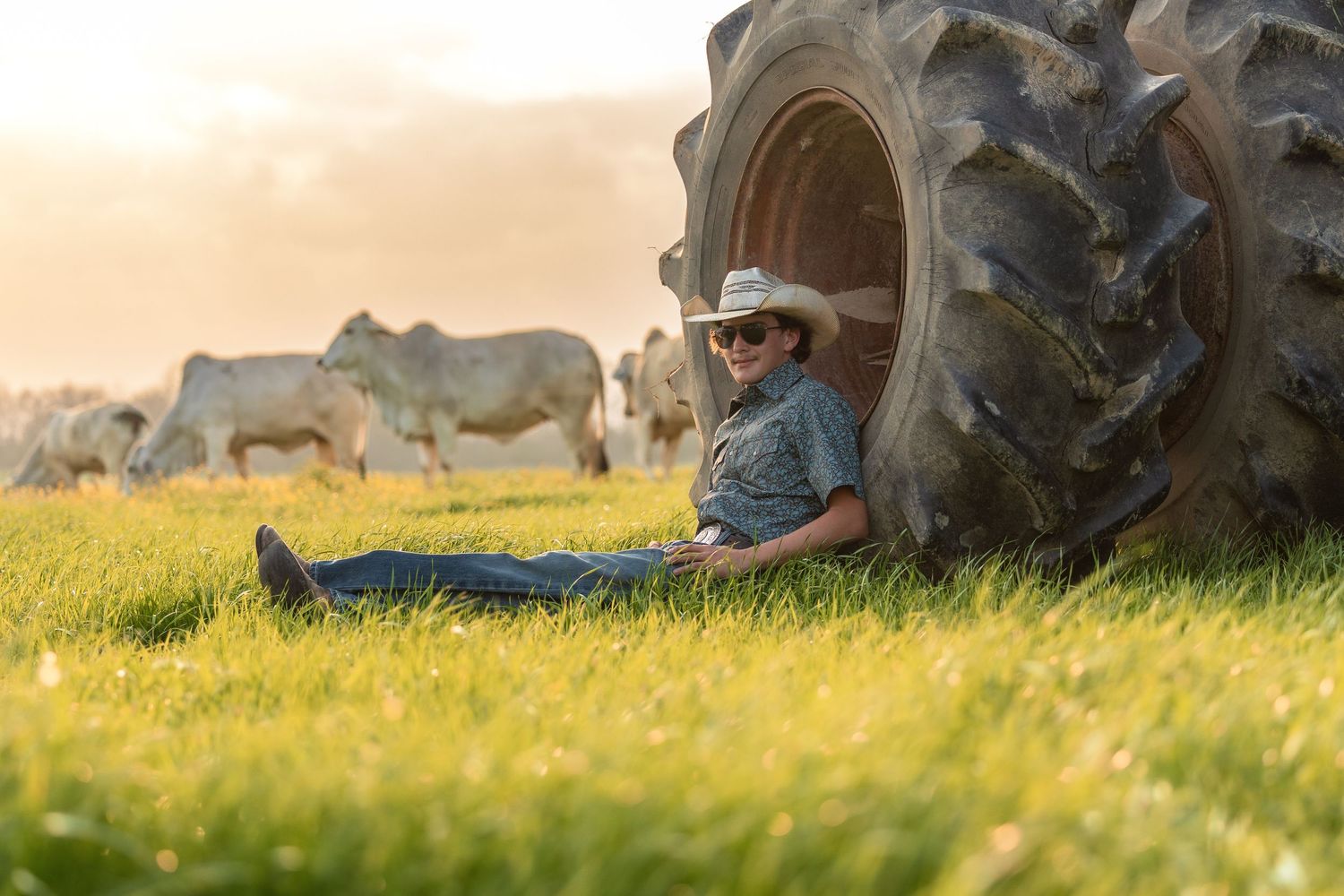 Candid outdoor sequence showing tender interaction between two people in a sunlit field.