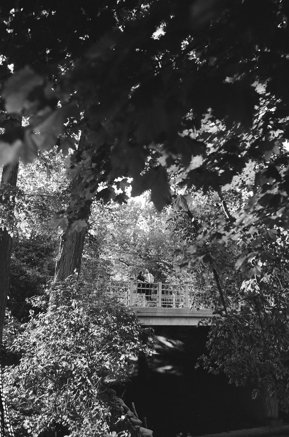 A romantic couple stands on a bridge framed by lush trees in a dreamy black and white shot.