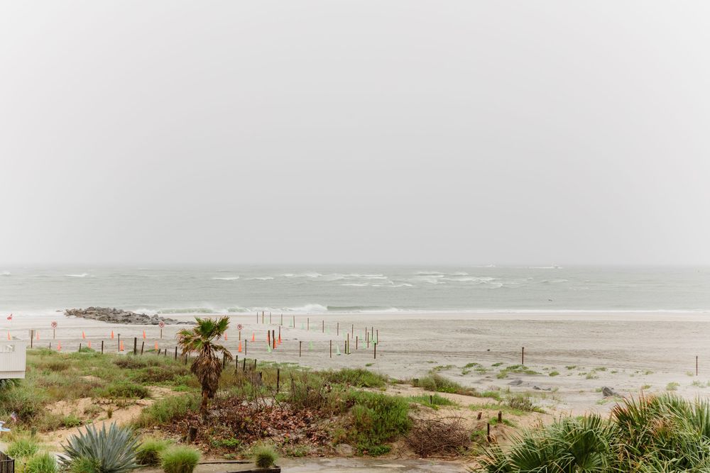 Overcast beach scene with palm trees, coastal vegetation, rocky jetty, and choppy waves on a gray, stormy day.