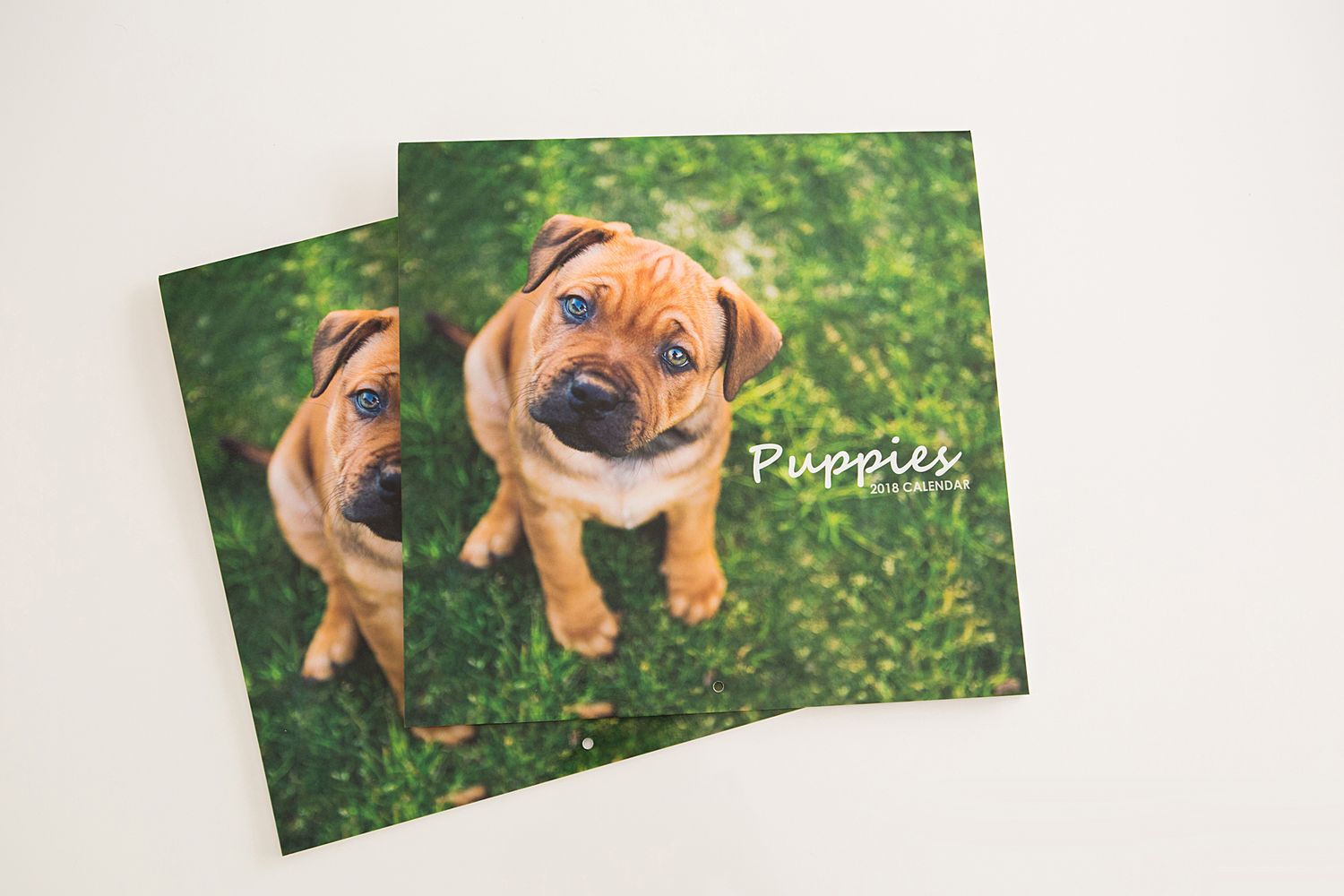 Pet Photography calendars published by Perth Pet Photographer, Sarah Lewis.