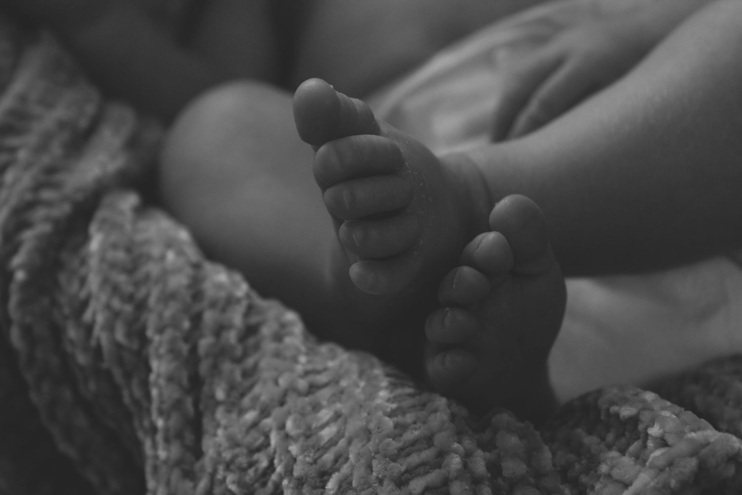 Newborn / Fresh 48