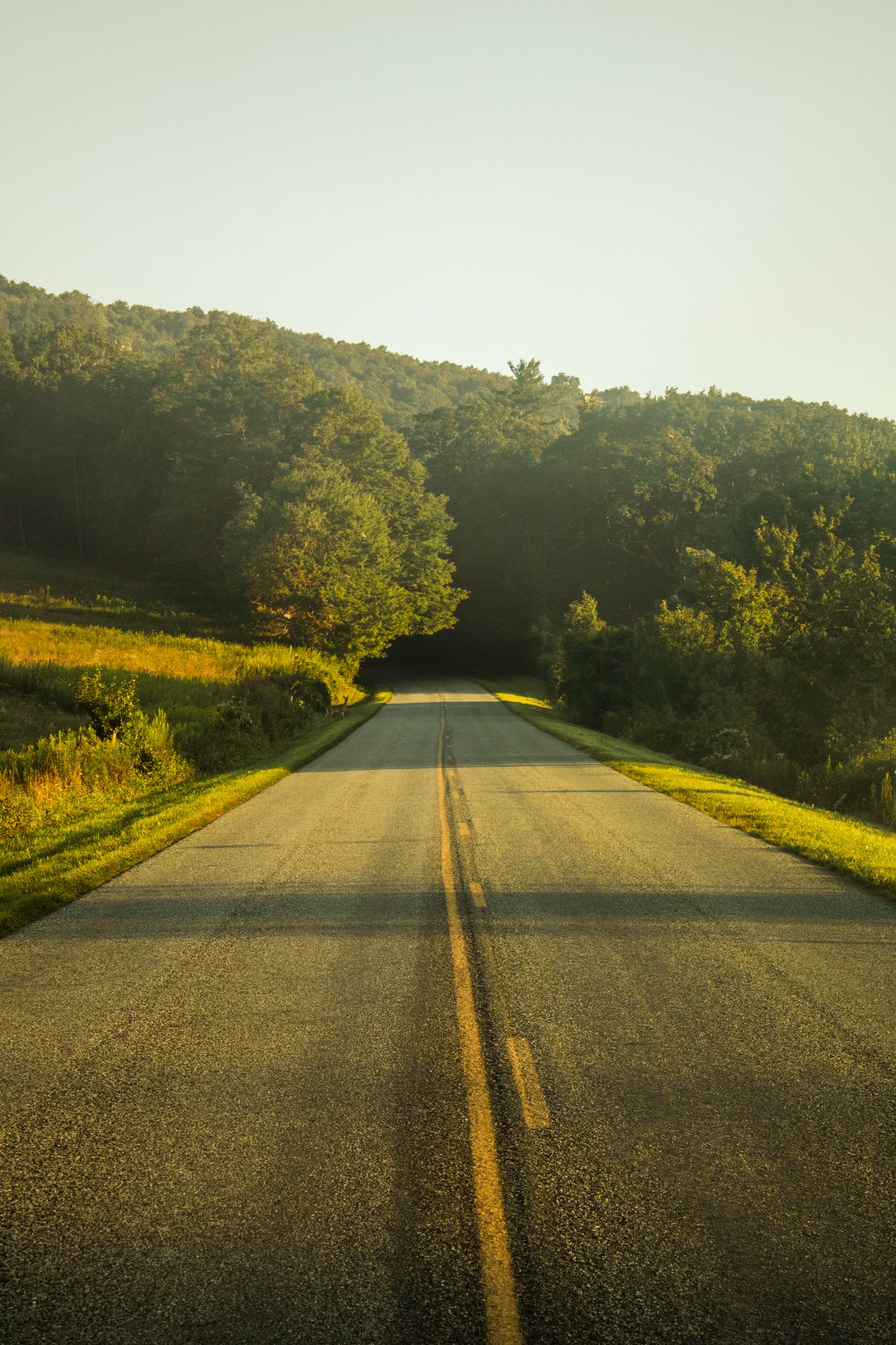 landscape in the mountains along the blue ridge parkway at sunrise