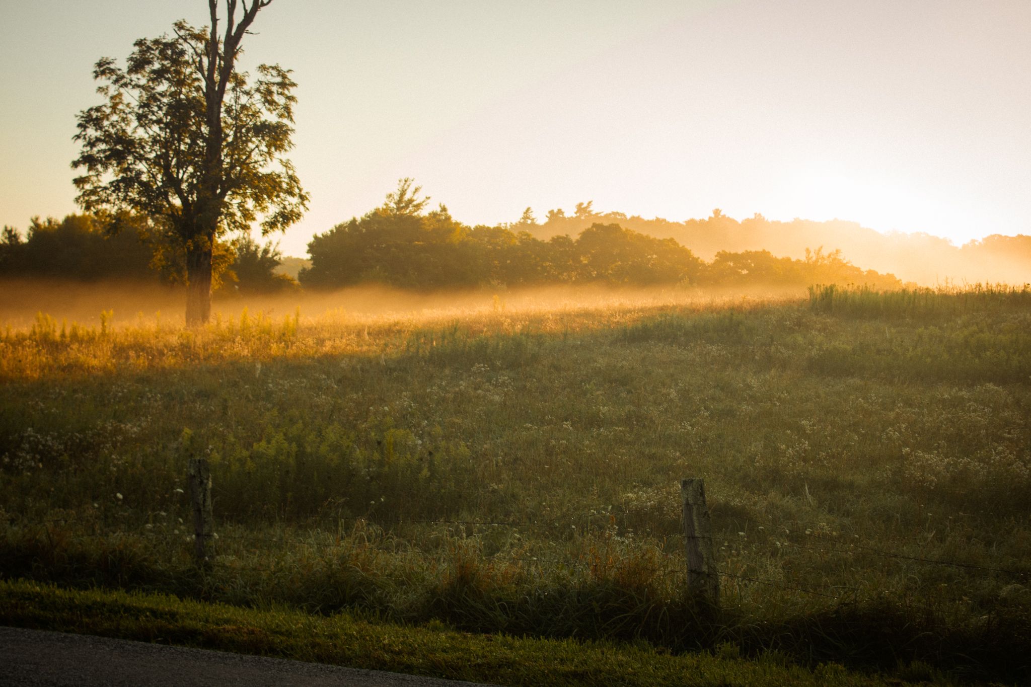landscape in the mountains along the blue ridge parkway at sunrise