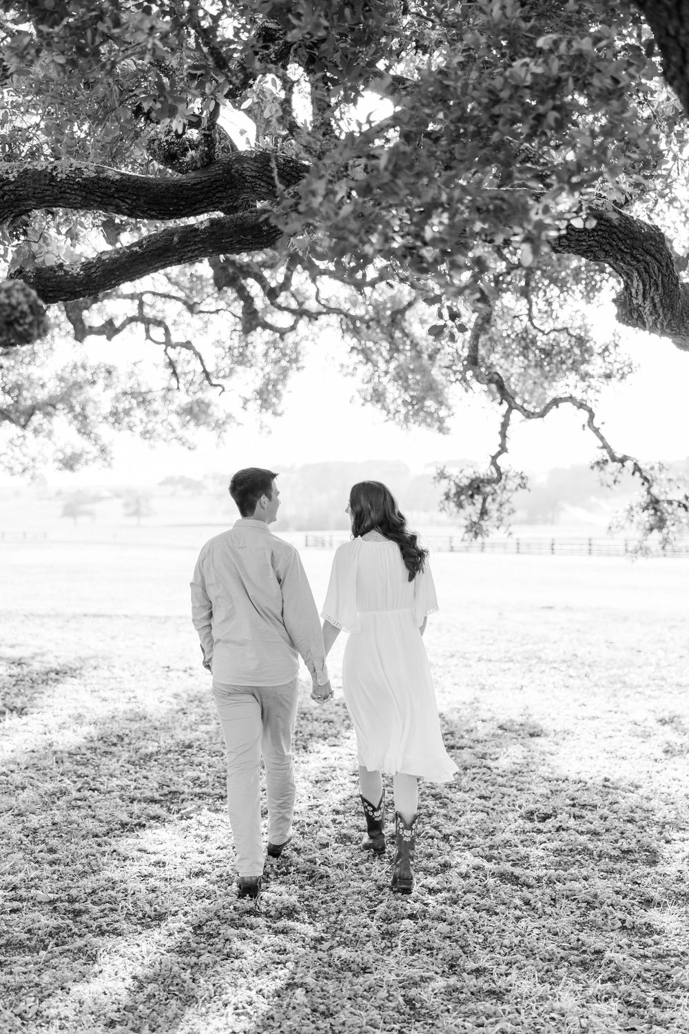 A romantic black and white photograph shows a couple holding hands while walking under a majestic oak tree.