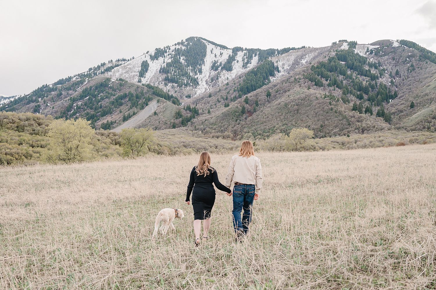 A couple walks their dog across a sunny meadow with snow-capped mountains in the background.