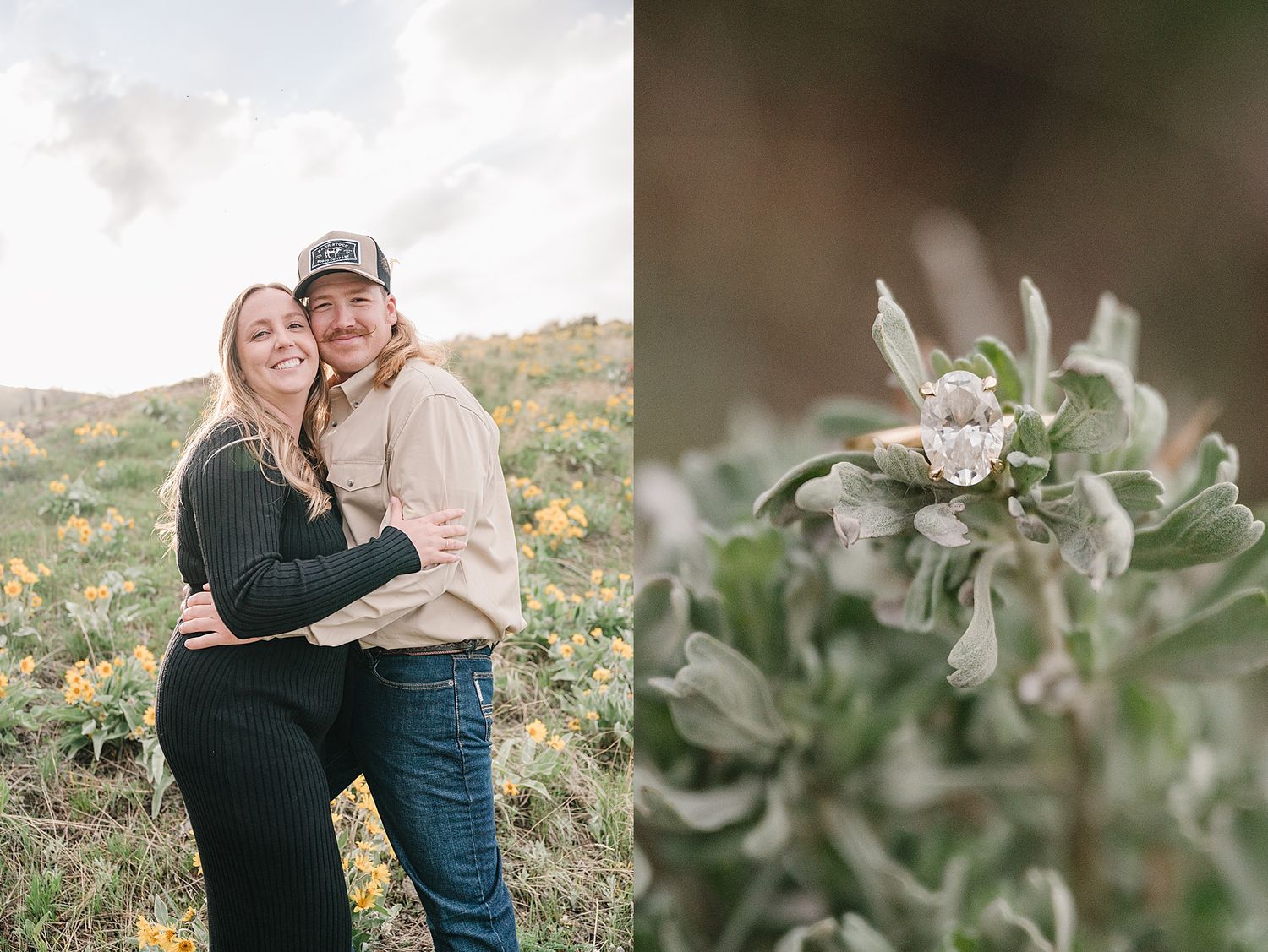 A diptych showing a loving couple embracing in a sunny field next to a closeup of white desert wildflowers with silvery leaves.