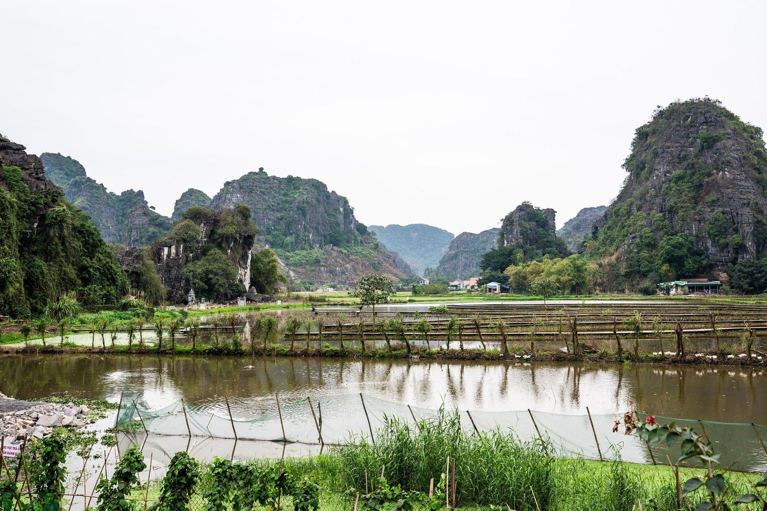 Scenic limestone karst mountains tower over tranquil rice paddies and reflective waters in rural Vietnam.