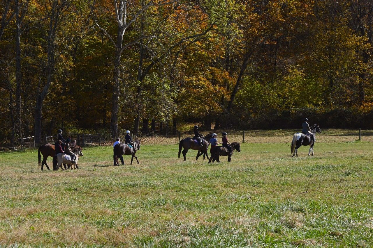 a field with a group of horses and riders