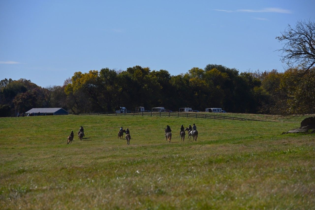 a field with a group of horses and riders