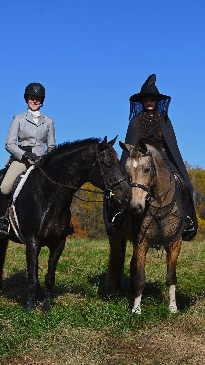 a buckskin horse and rider and a black horse and rider