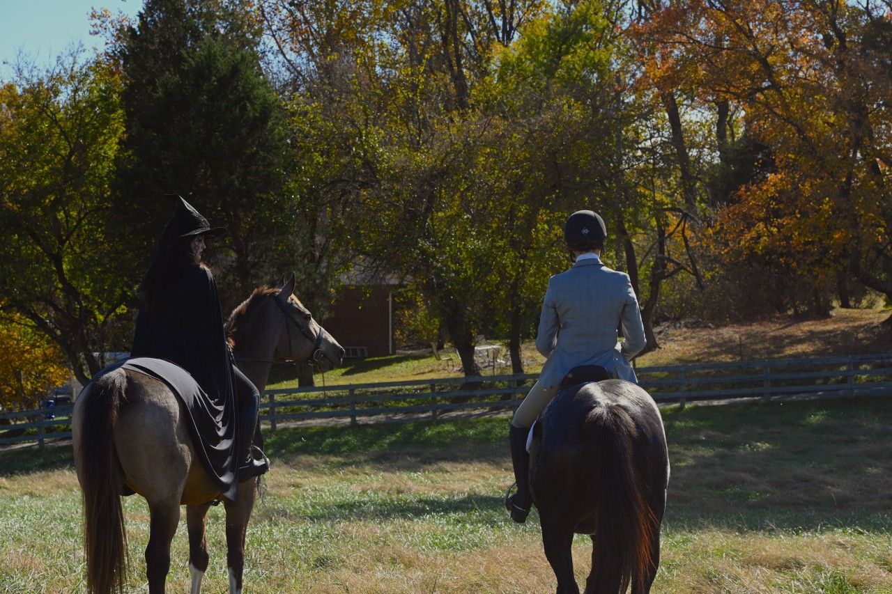 a buckskin horse and rider and a black horse and rider