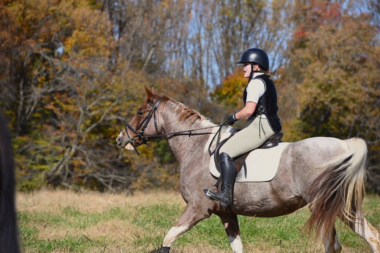 a red roan paint horse and rider