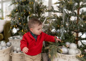 Christmas themed photos featuring decorated trees with silver ornaments and pine branches.