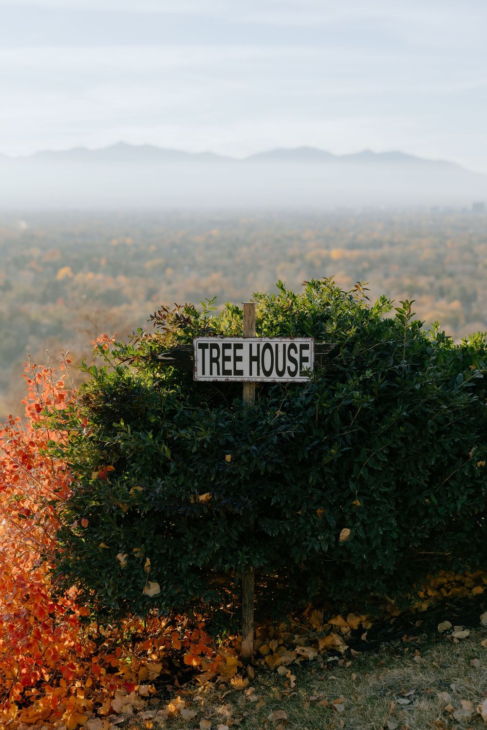 A rustic 'Tree House' sign stands against an autumn mountain landscape with fall foliage and misty hills in the background.