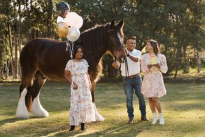 Family celebrating with balloons beside a large brown shire horse on green grass outdoors during a horse photoshoot in sydney