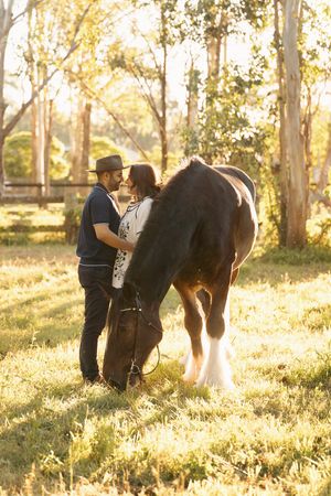 Couple sharing a romantic moment beside a brown horse in a sunlit pastoral setting with tall trees in the background in photoshoot sydney