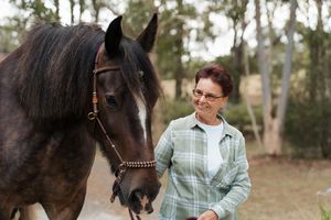 A person in a plaid shirt stands with a majestic shire horse in a wooded outdoor setting during a photoshoot in Sydney with a horse