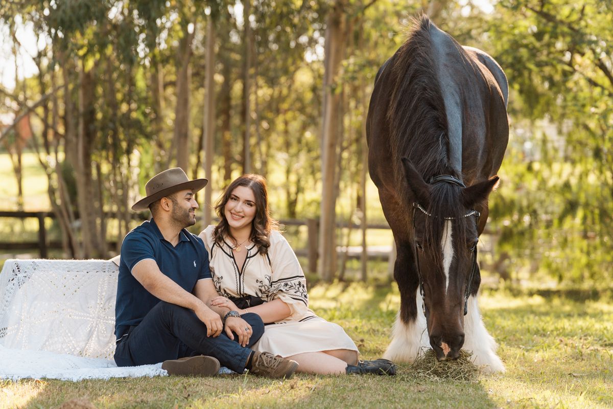 Couple sitting on grass blanket beside grazing brown horse in sunny outdoor farm setting. Renting horse for a photoshoot in Sydney