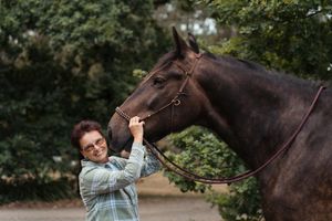 A series of connected photos showing someone interacting with a dark brown horse in an outdoor wooded setting during a Sydney Horse photosho