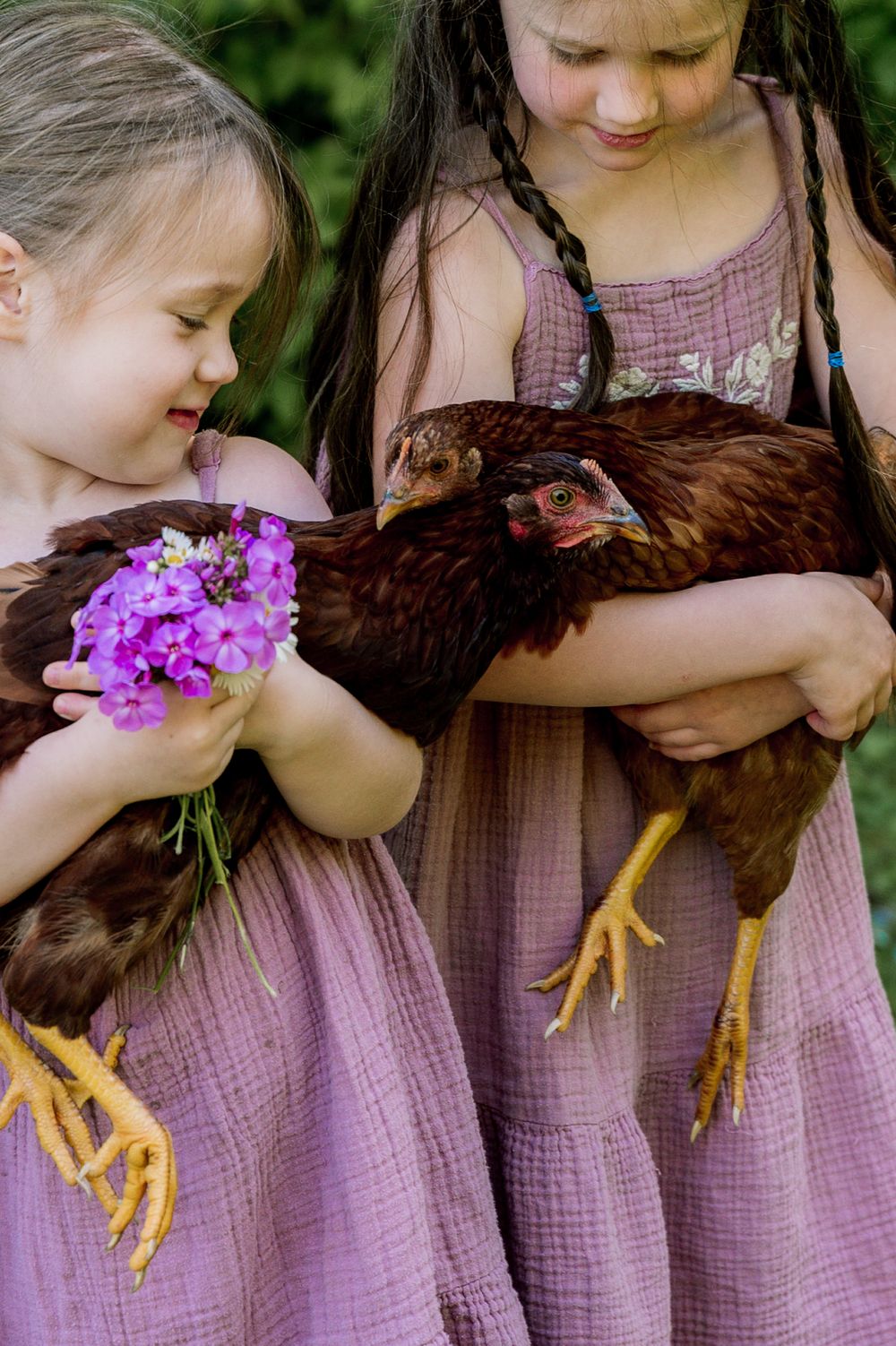 A child in a purple dress holds a brown chicken while colorful flowers add a delicate touch to the sweet moment.