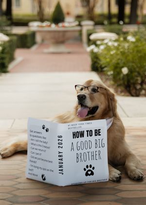 Golden retriever wearing glasses lies on ground with book titled 'How to be a Good Big Brother' showing pregnancy announcement.