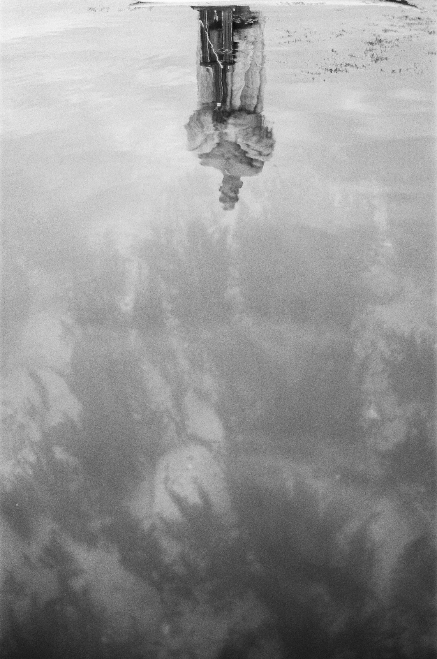 Black and white reflection in water showing a figure and foliage creating a dreamy, ethereal composition.