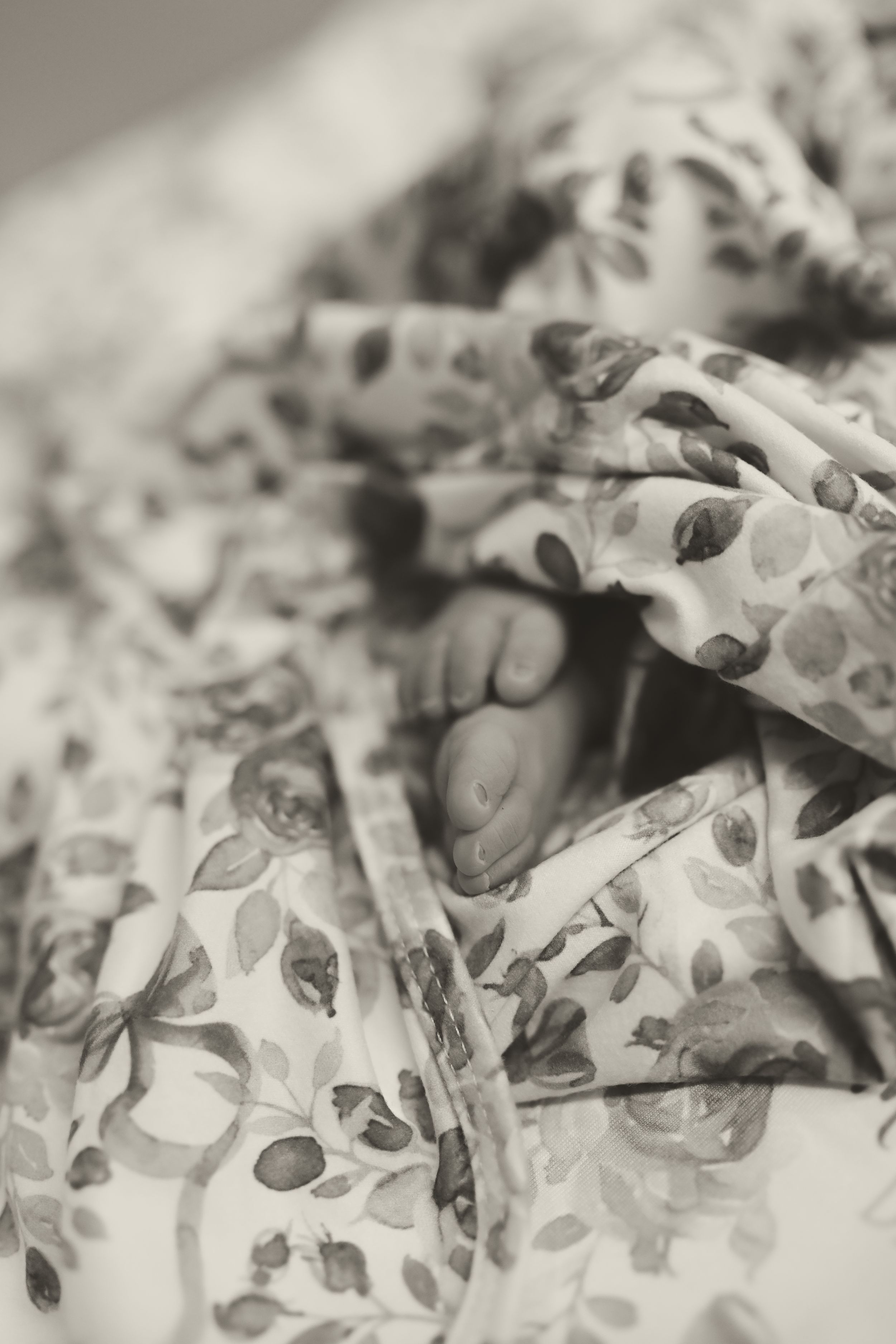 Delicate black and white macro photograph of patterned fabric with floral design.