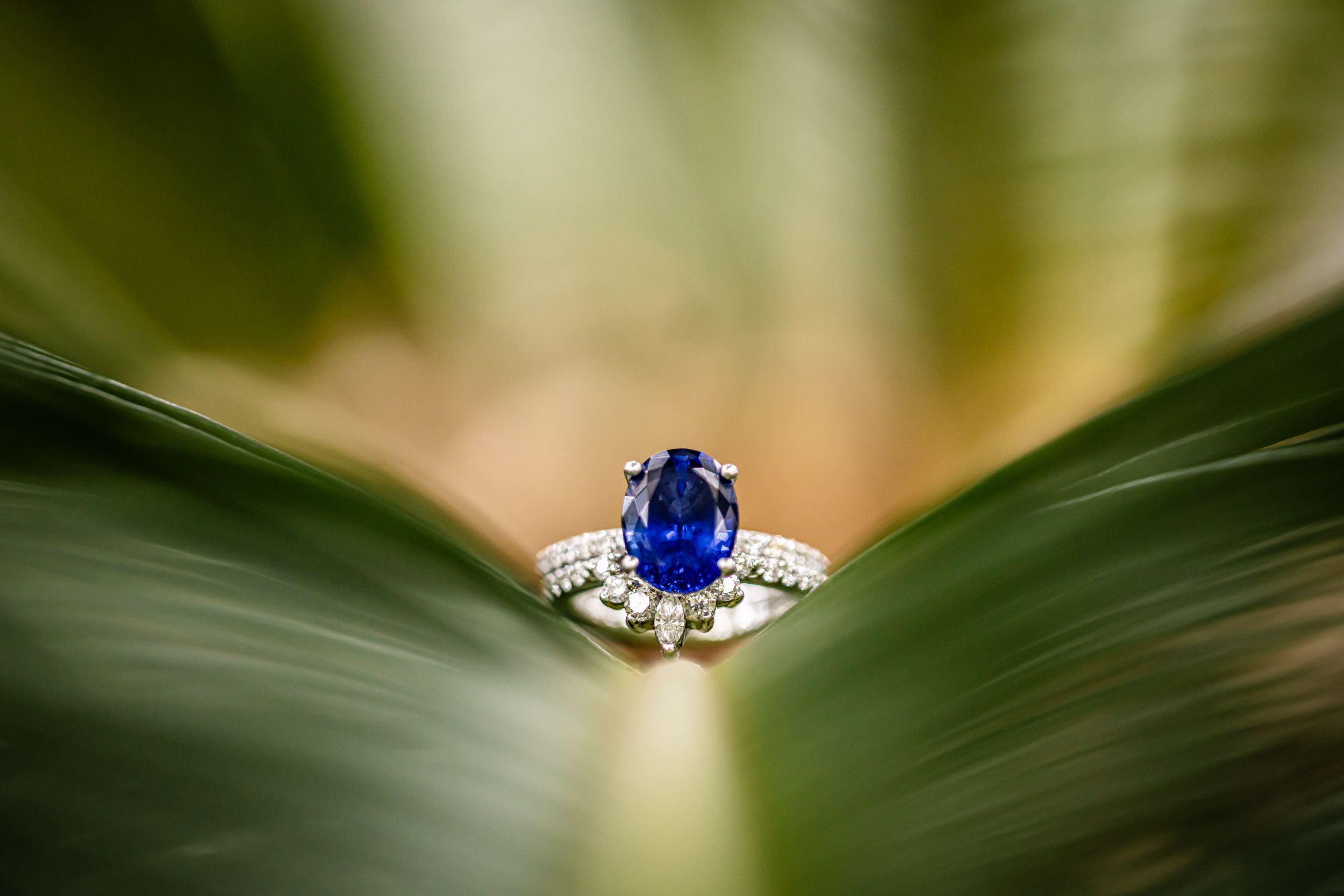 Close-up of wedding rings and a sapphire engagement ring displayed on a green leaf.