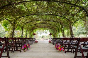Tree-lined outdoor wedding venue with wooden chairs arranged in rows under a natural canopy.