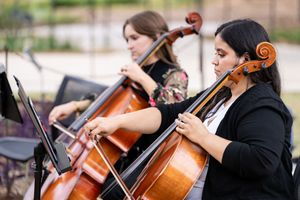 Musicians playing cellos during an elegant wedding performance.