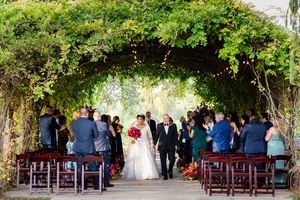 Guests seated in rows of dark wooden chairs under a lush green tree canopy for an outdoor ceremony.