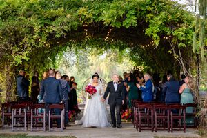 Wedding ceremony setup with wooden chairs arranged in rows under a lush green tree canopy.