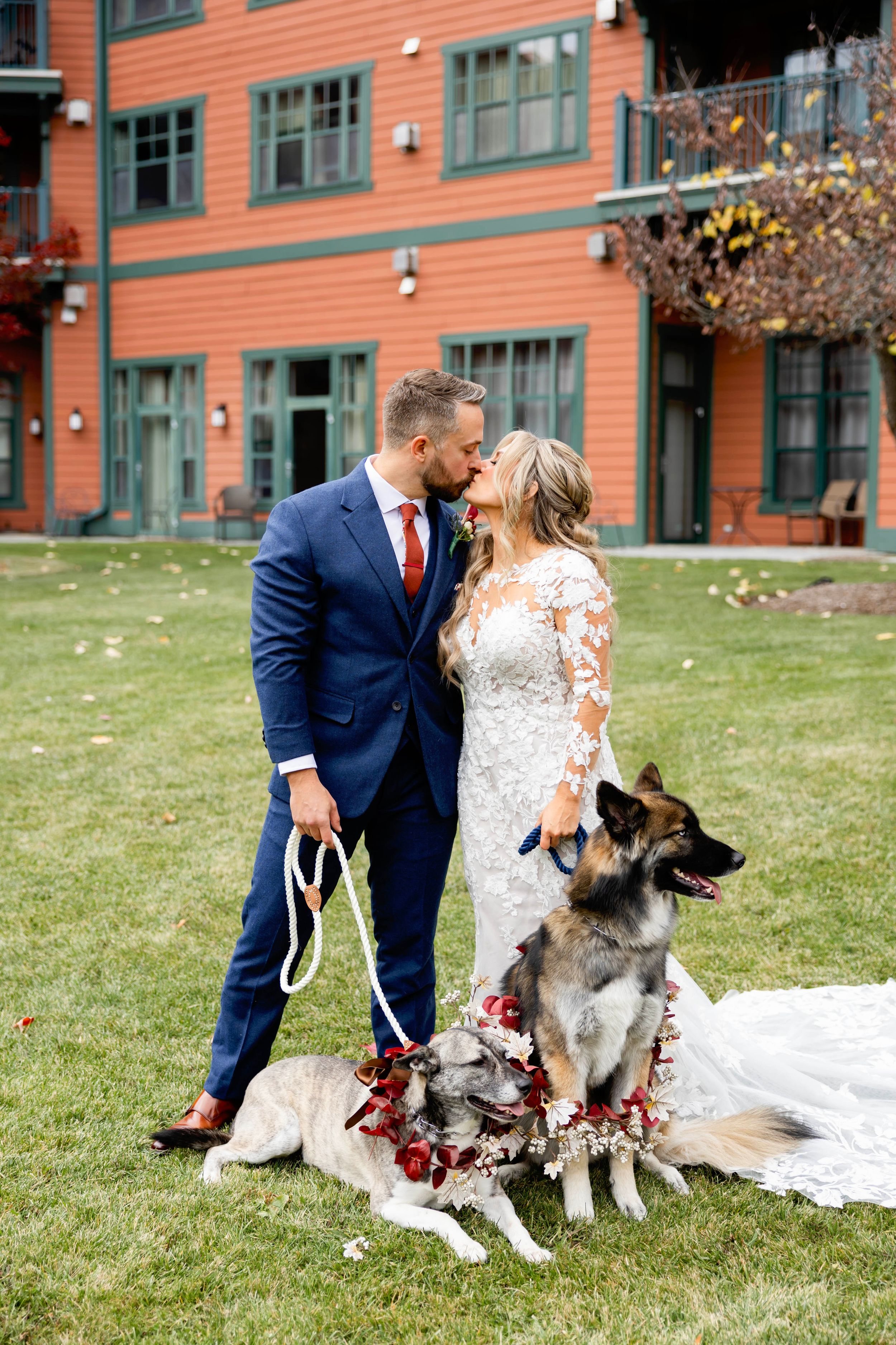 A couple in wedding attire sits on grass with their German Shepherd dog during an outdoor photo session. NJ wedding photographer