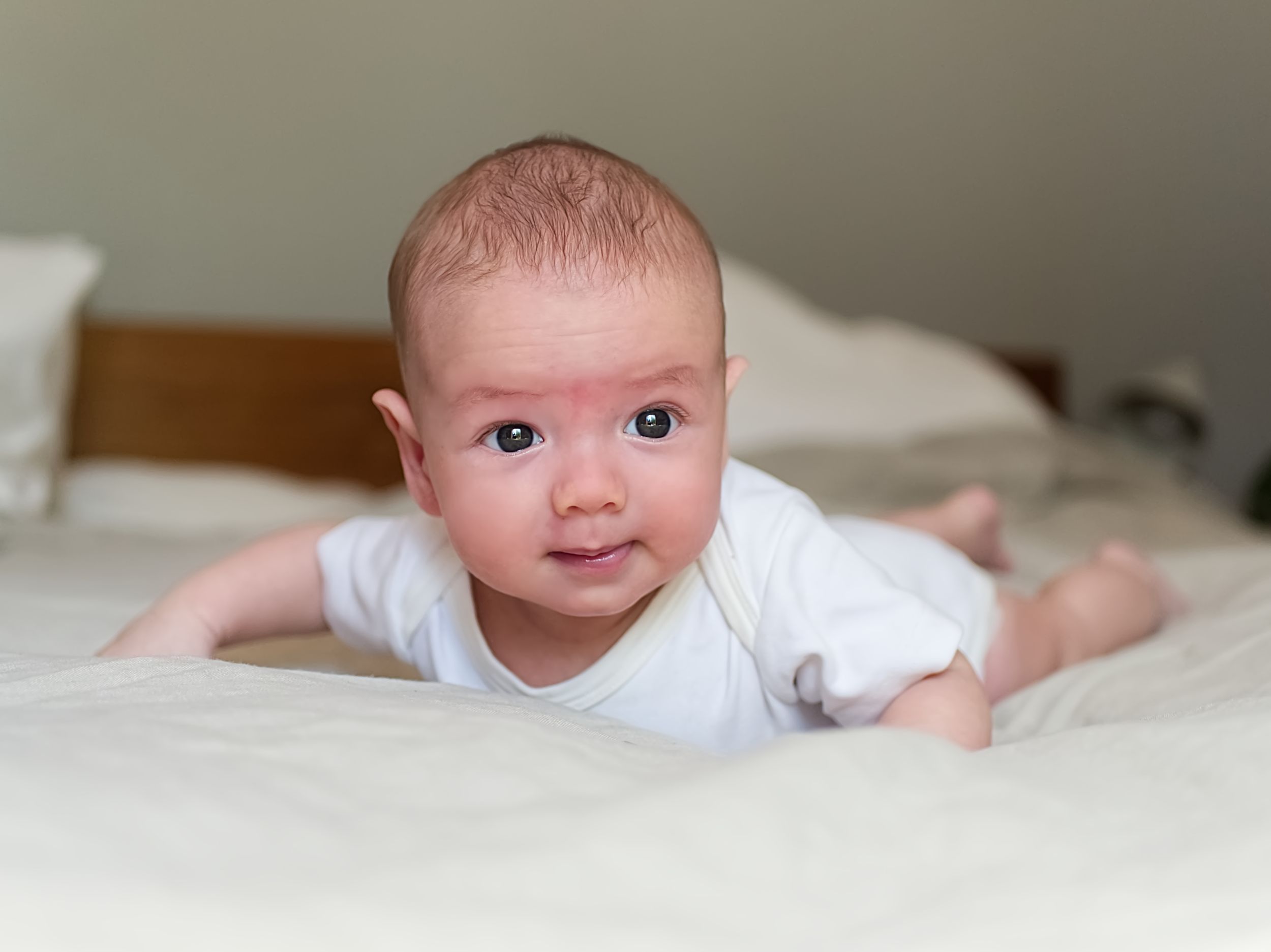 Newborn baby during tummy time during an bright lifestyle newborn photography session in Calgary, Alberta.