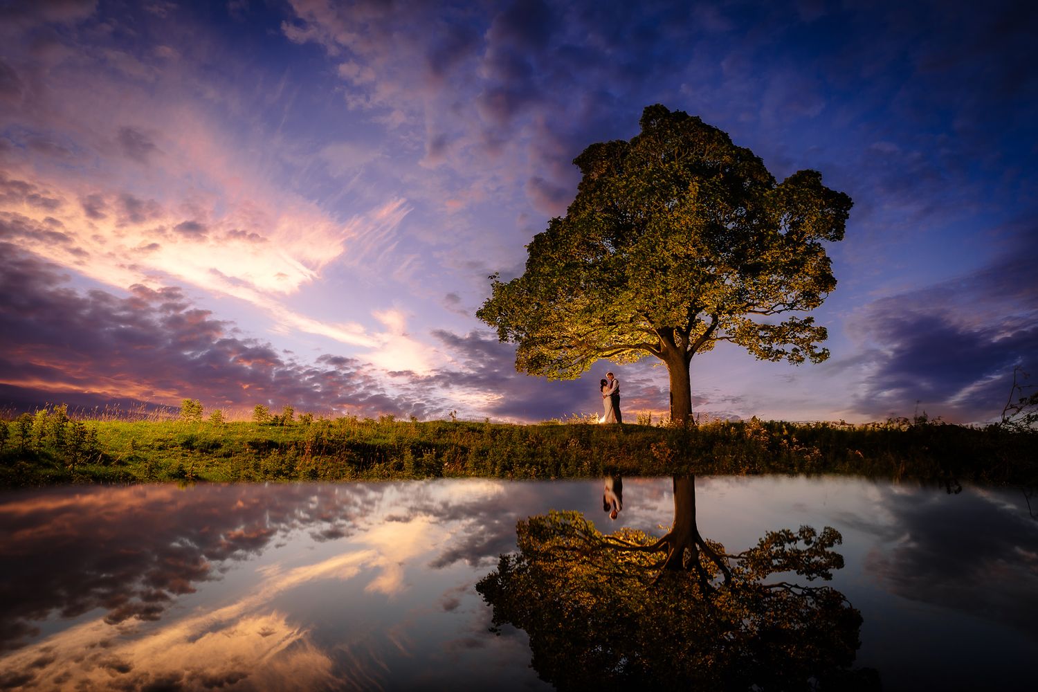 Dramatic sunset panorama with silhouetted trees and vibrant clouds reflecting on water.