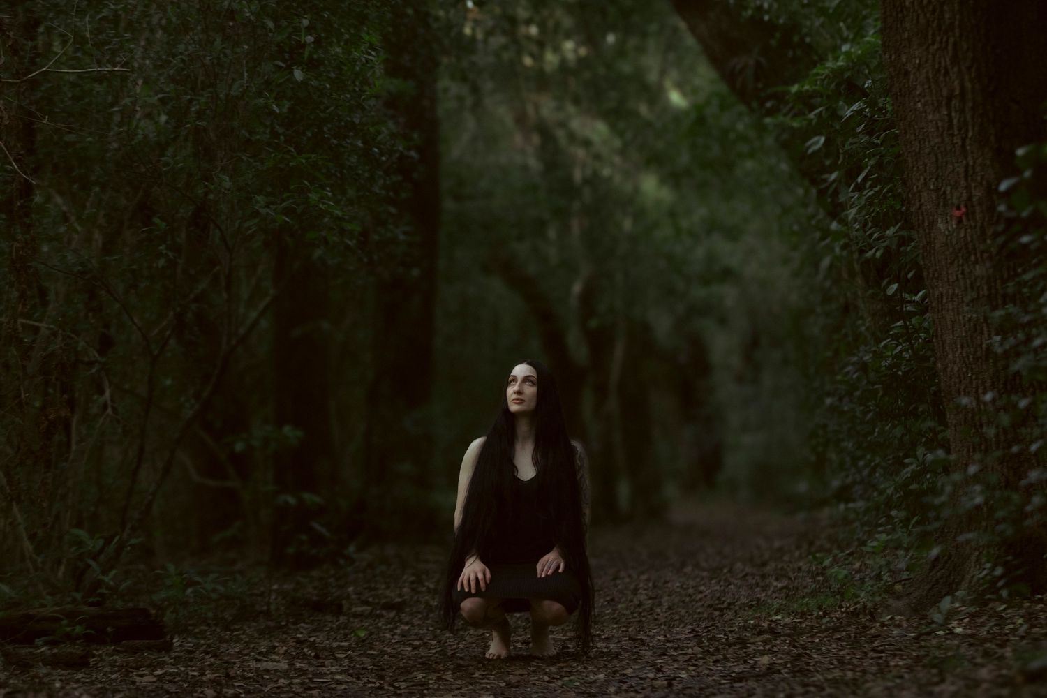A person in dark clothing crouches on a moody forest path surrounded by towering trees and misty atmosphere.
