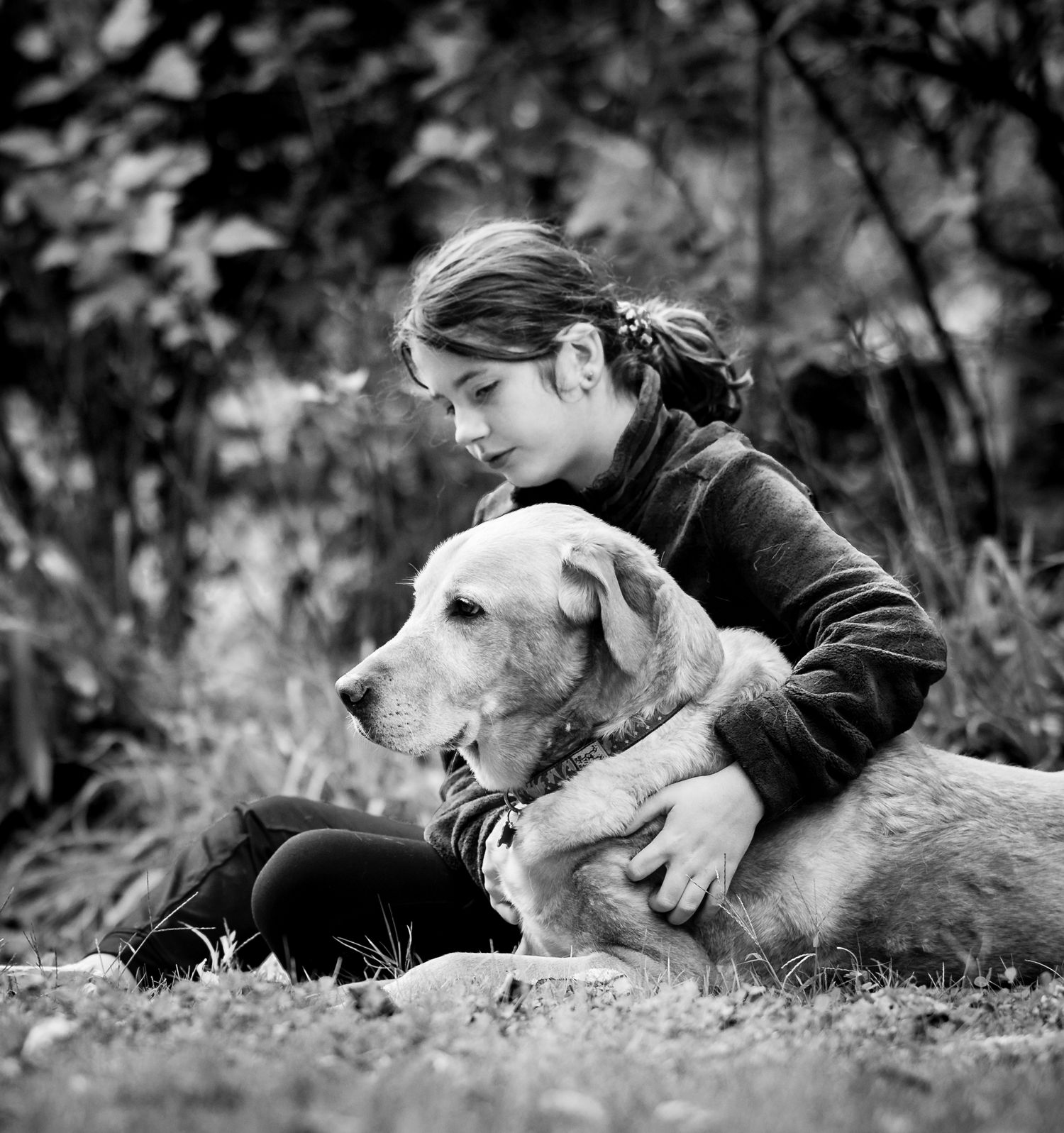 Black and white photograph of a girl and her senior yellow lab taken in Lake Oswego as part of a legacy session Copyright Amanda Barr Photog