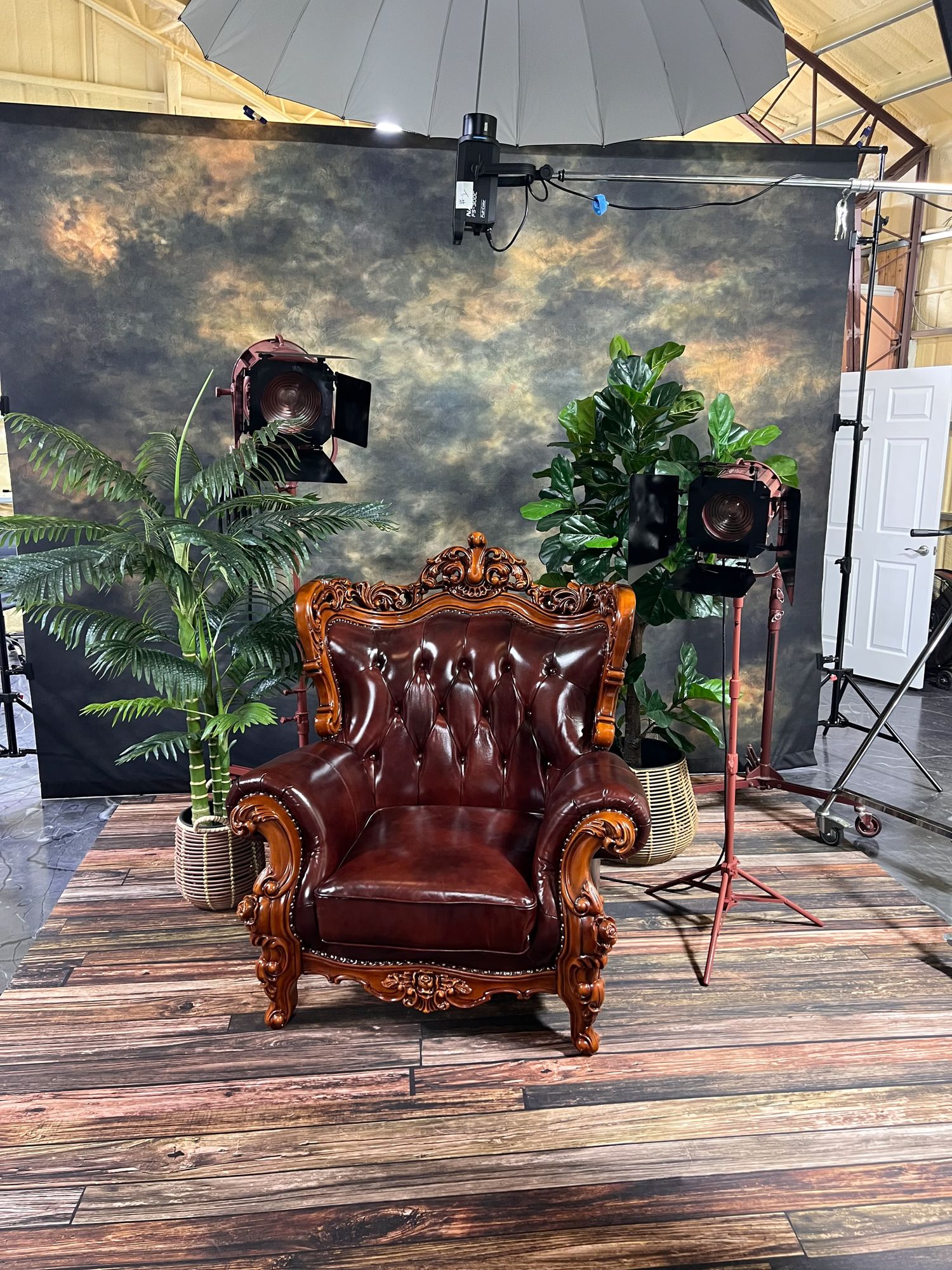 Ornate brown leather throne chair against dramatic sky backdrop with studio lighting and potted plants.