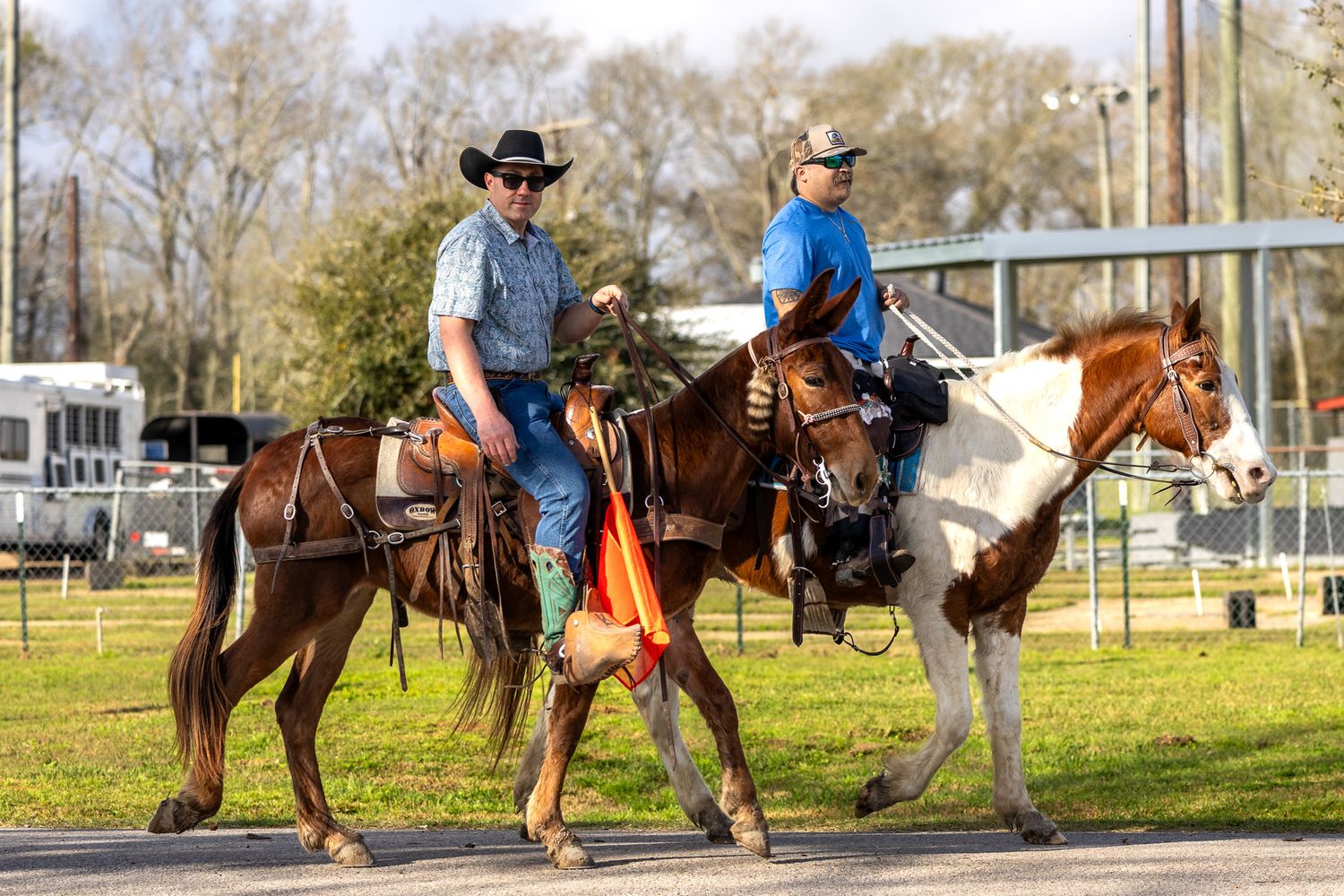 A group of riders on horseback walking in a line during an outdoor equestrian event. Louisiana Mardi Gras