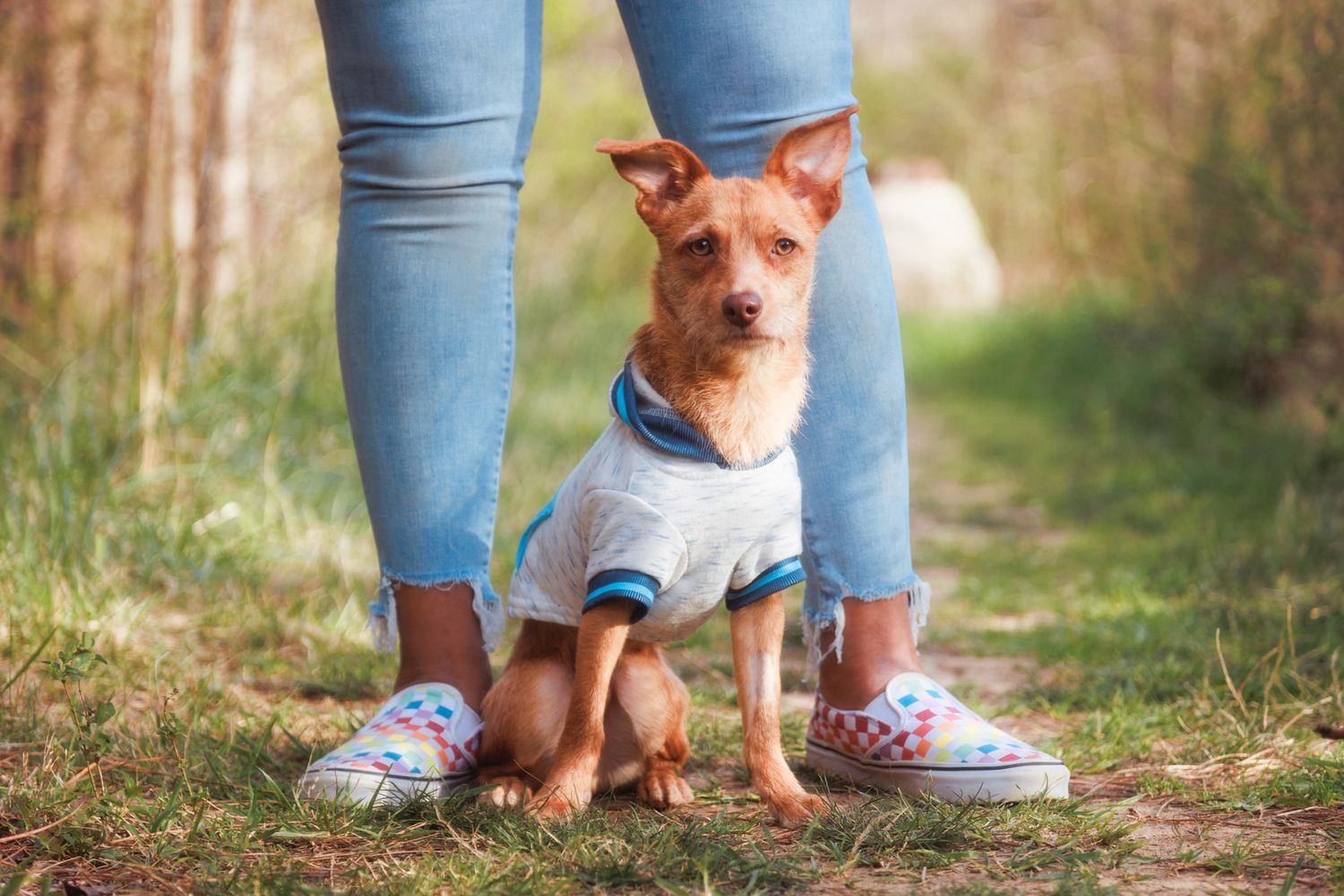 family and dog photo