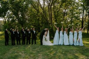 Wedding party stands in formation on grass with trees in background.