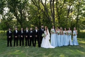 Full wedding party poses formally in line on grass with trees in background.