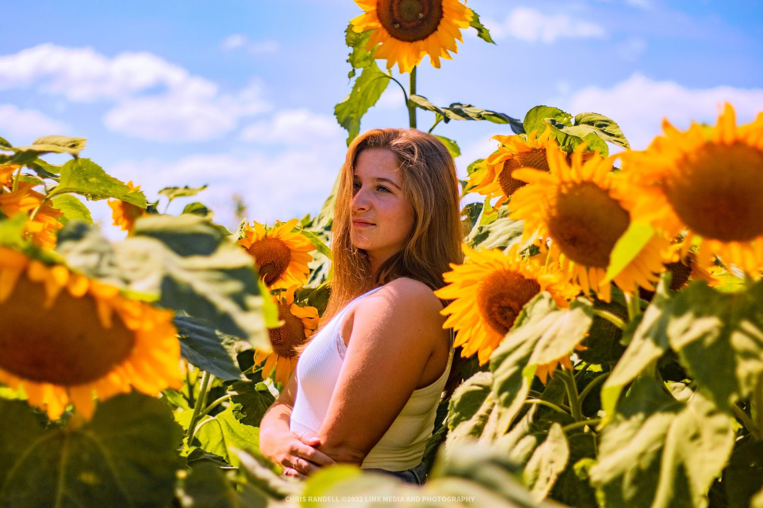 Beautiful Individual Portrait of Victoria Dell in Summer Sunflower Fields, Photo by Linx Photography, Barrie, Ontario