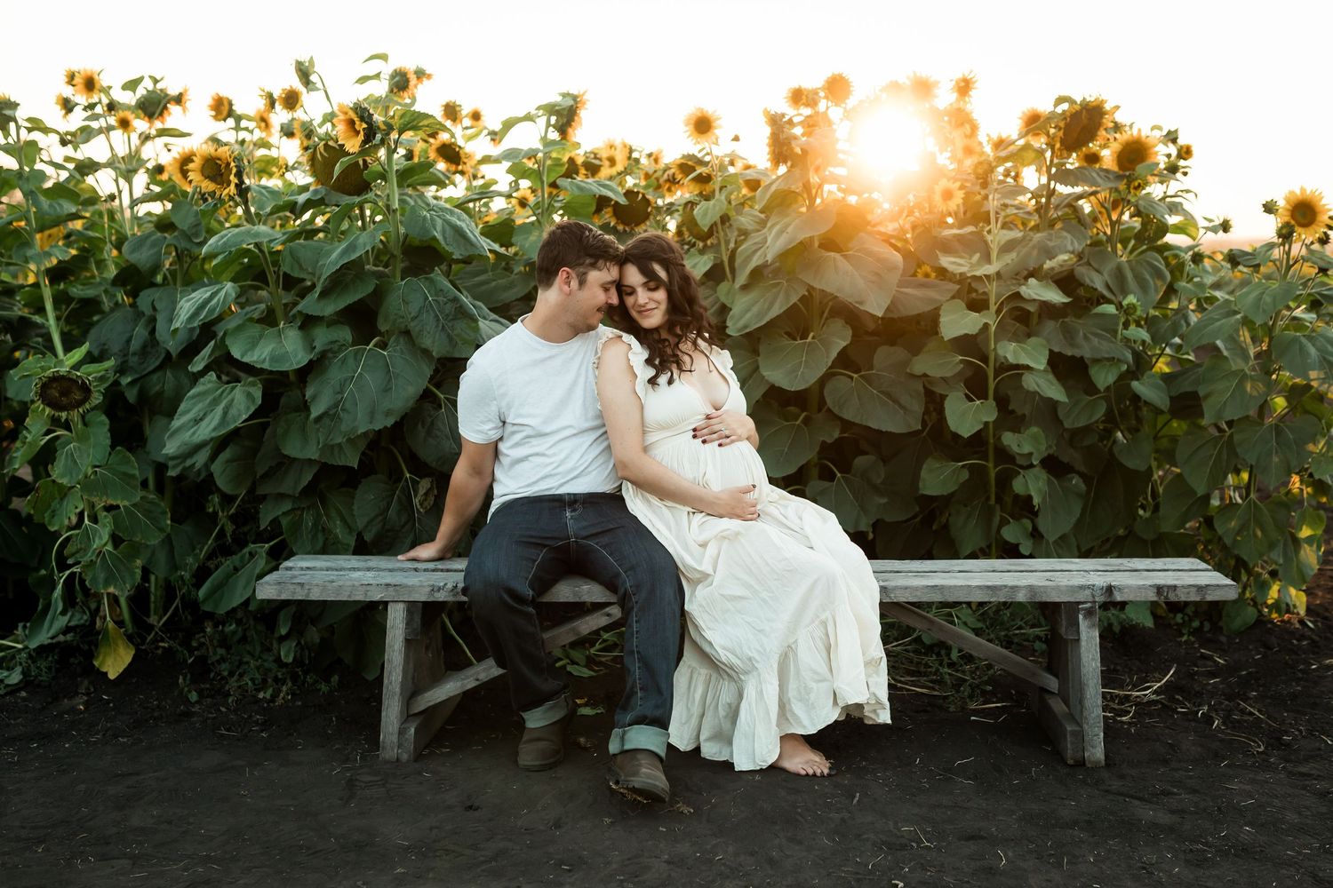 Golden hour maternity photos in sunflower fields at Bowden SunMaze by Calgary lifestyle photographer.