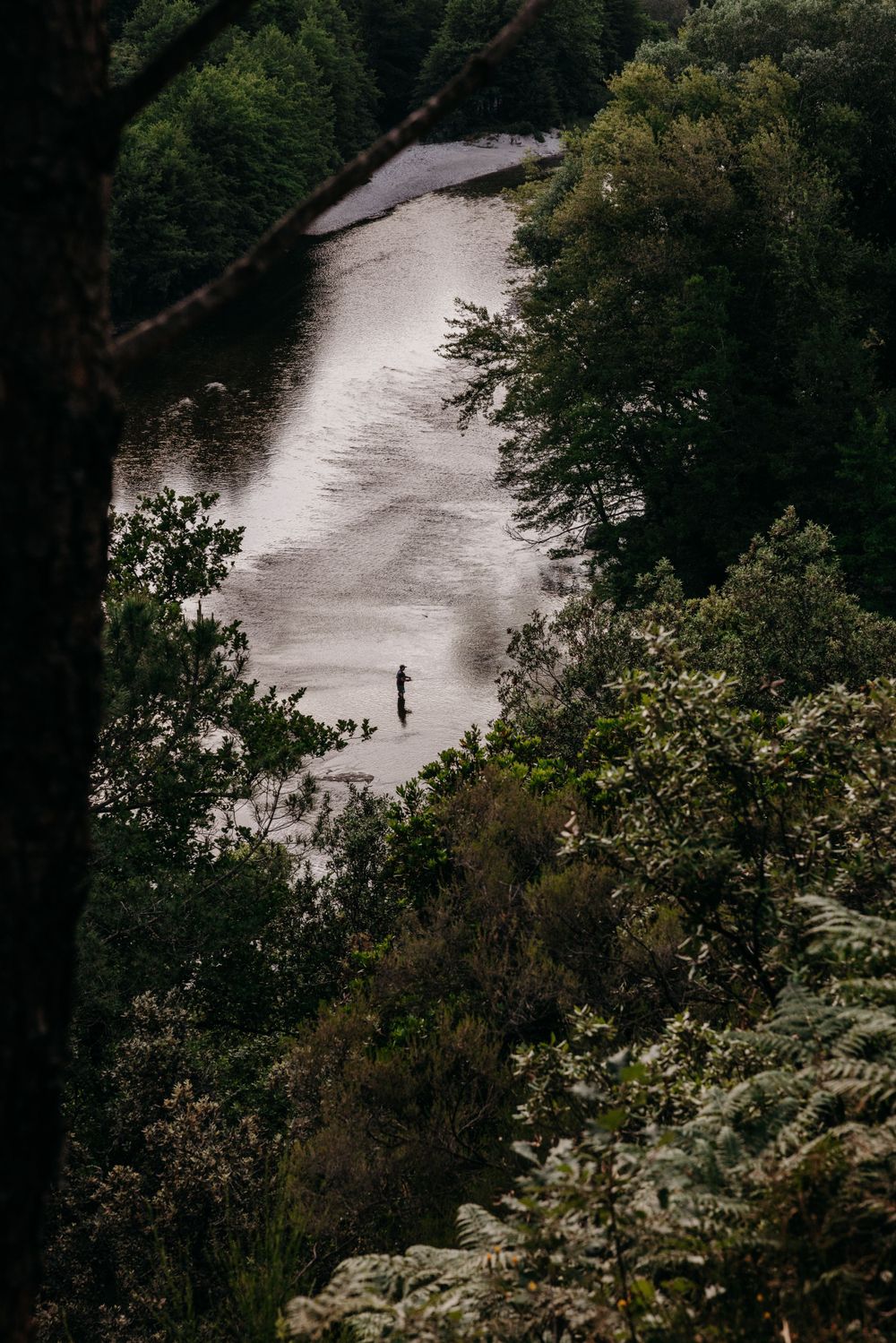 Aerial view of a solitary figure fly fishing in a misty river surrounded by trees.