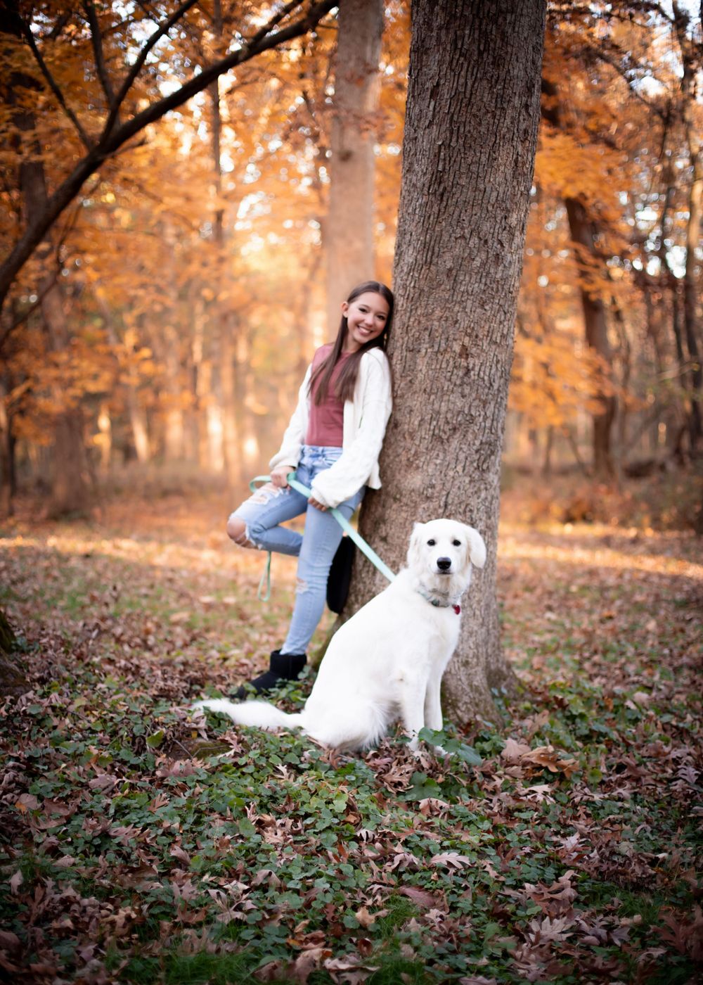family photographer outdoors natural light fall Jessica Roth Photography Janesville Wisconsin Professional Photographer dogs welcome