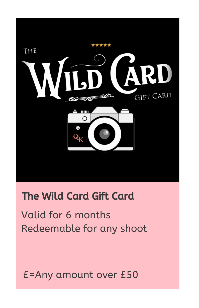 A series of black and pink gift card designs featuring camera icons and 'Wild Card' text for photography services.