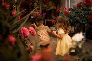 A swing hangs in a garden surrounded by blooming red flowers and lush greenery.