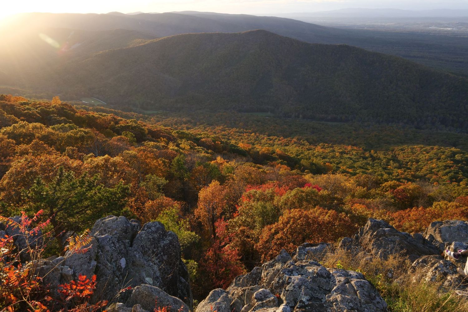 Autumn on Torry Mountain and Shenandoah Valley Virginia