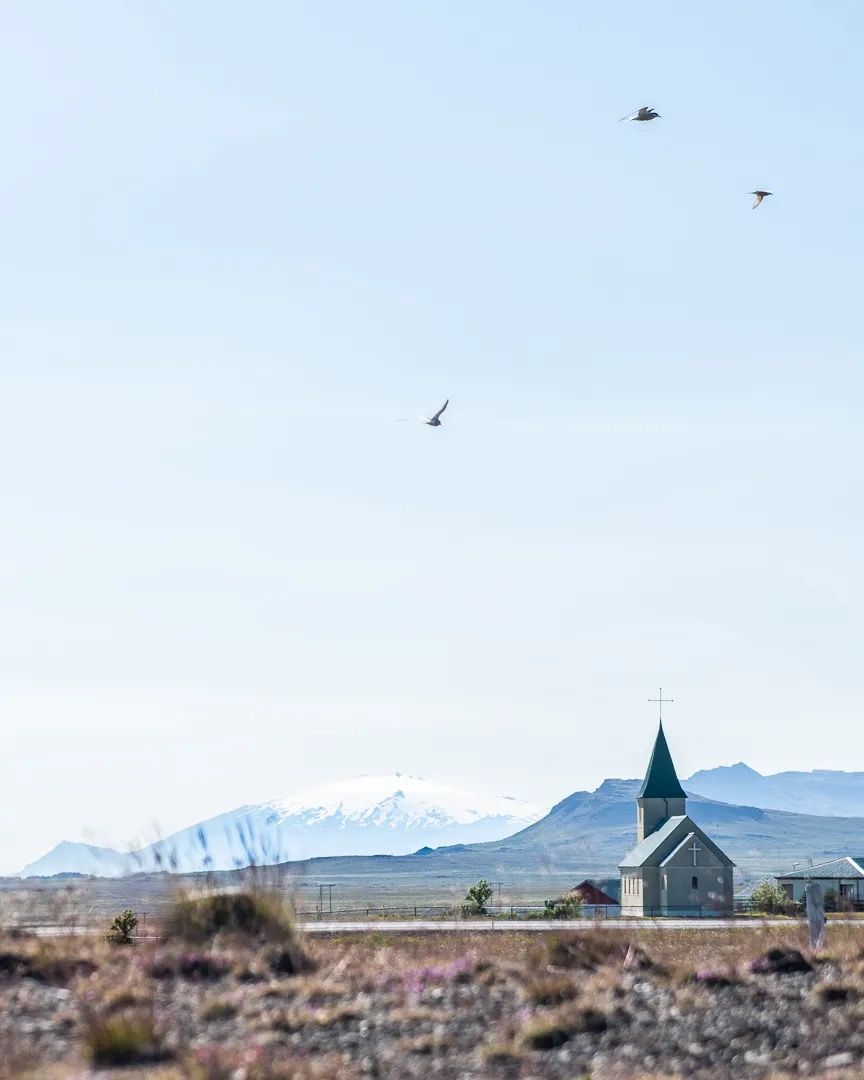 Coastal view with birds flying and a small church visible across the water.